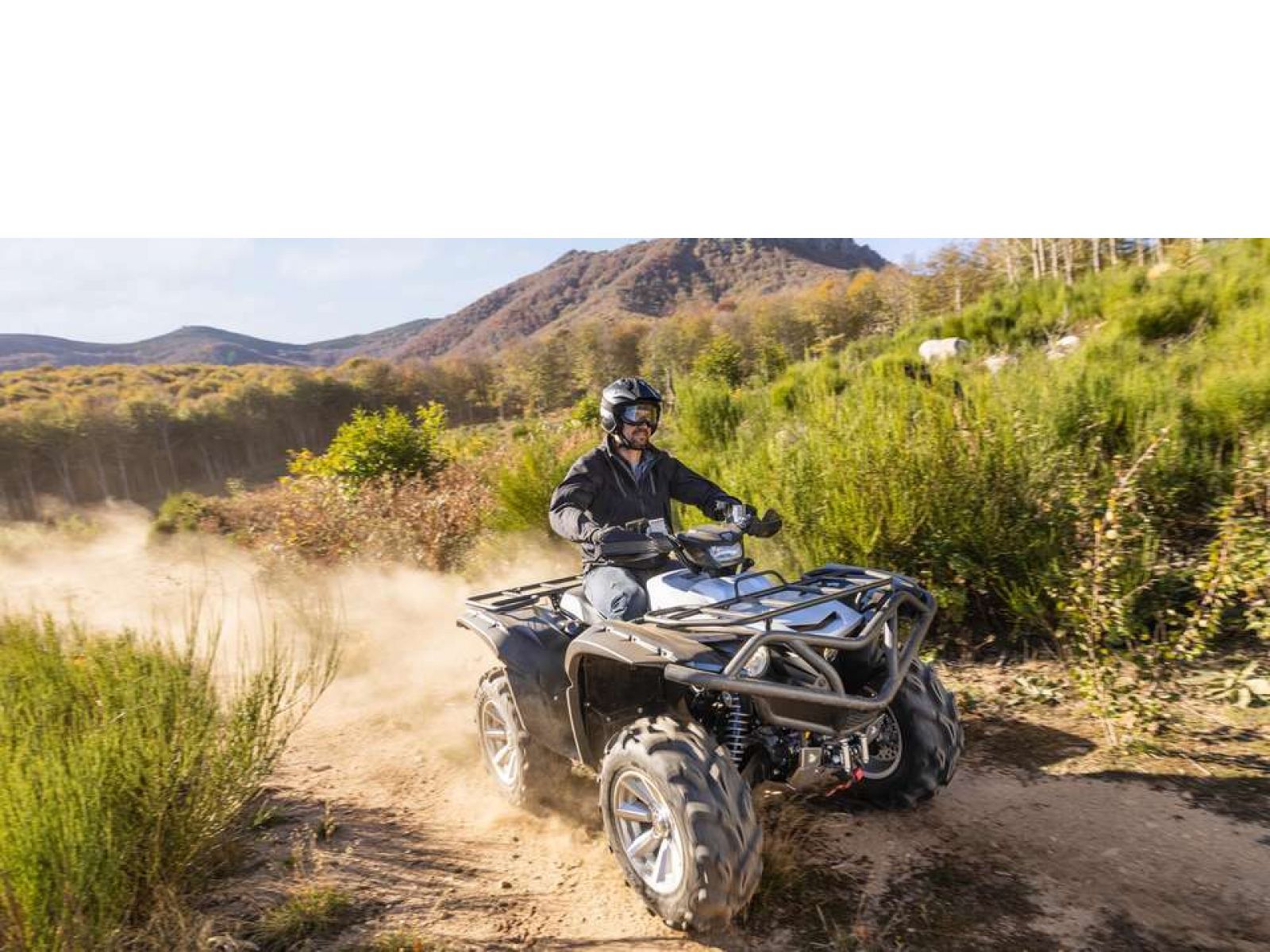 Мотовездеход ATV YAMAHA Grizzly 700 EPS SE 25 TH Anniversary (Low Gloss Black) 2024